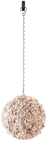 SuperMoss 22372 Sphagnum Moss Living Wreath 9 Inch