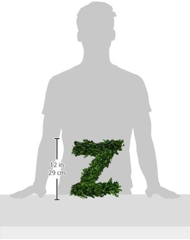 12 Inch Real Preserved Boxwood Monogram Wreath Letters Z