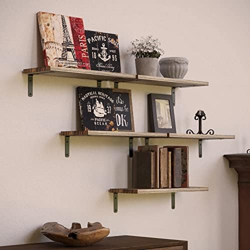 RICHER HOUSE Set of 5 Floating Shelves in Carbonized Black