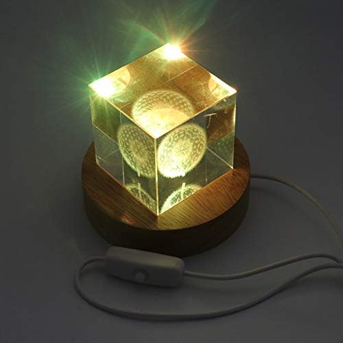 Colorful LED Crystal Display Stand with USB Cable