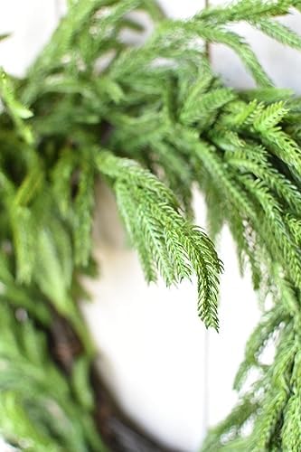 Afloral Real Touch Norfolk Pine Wreath 24 Inch