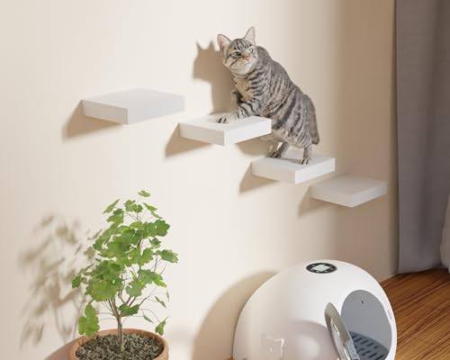Floating Shelves for Wall with Invisible Bracket Set of 2