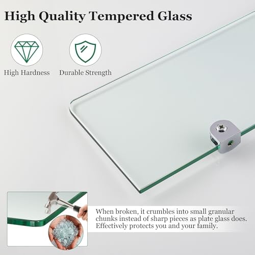 Sayayo Clear Floating Shelves for Wall 12 Inch Set of 2
