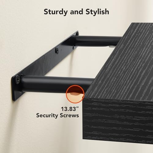 Amada Floating Shelves Wall Mounted Set of 2 Black 15x7 Inch