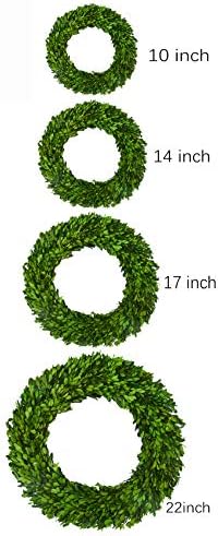 17 Inch Preserved Boxwood Wreath for Home Decor