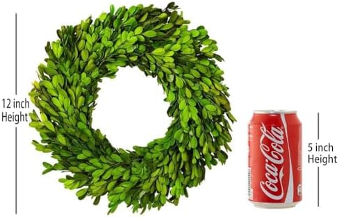 12 Inch Preserved Boxwood Wreath Home Decor