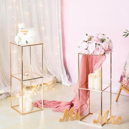 LANLONG Gold Pedestal Stand with Acrylic Panels 2Pcs