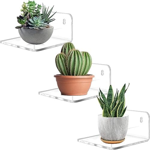 Clear Acrylic Floating Wall Shelf 3 Pack