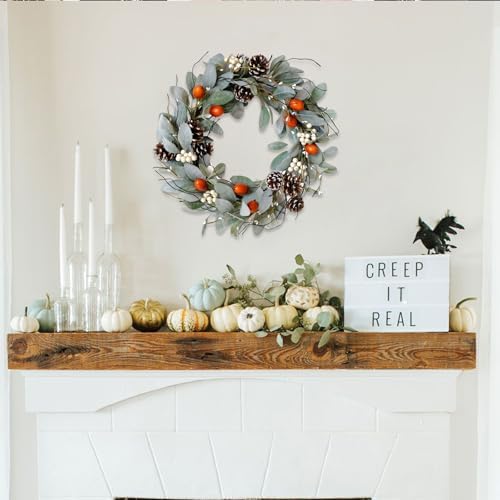 Idyllic 20 Inch Winter Wreath for Front Door