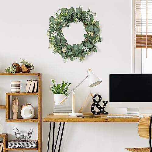 Dremisland 20 Inch Eucalyptus Wreath for Front Door