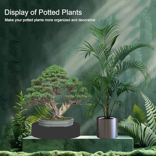 Jueraori Black Round Display Pedestal Stand