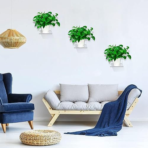 Clear Acrylic Floating Wall Shelf 3 Pack