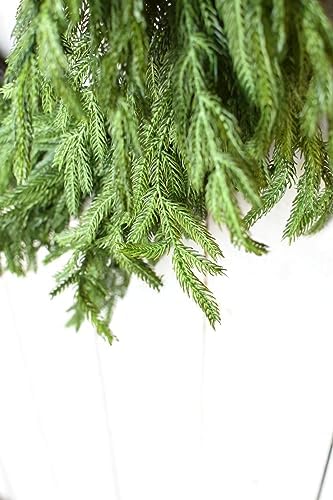 Afloral Real Touch Norfolk Pine Wreath 24 Inch