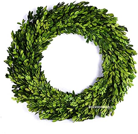 17 Inch Preserved Boxwood Wreath for Home Decor