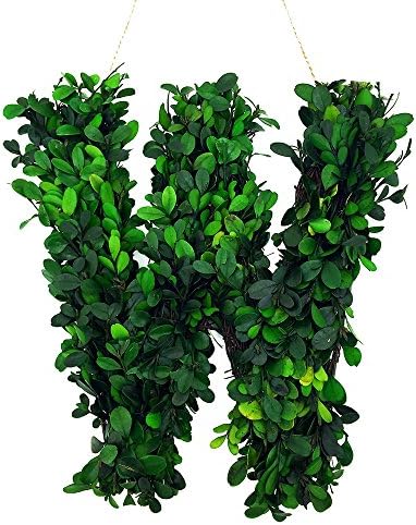 12 Inch Real Preserved Boxwood Monogram Wreath Letters