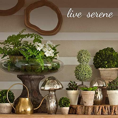 Serene Spaces Living Artificial Green Magnolia Leaf Wreath