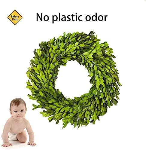 12 Inch Preserved Boxwood Wreath Home Decor
