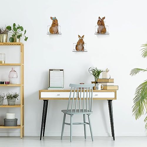 Clear Acrylic Floating Wall Shelf 3 Pack