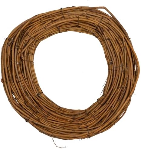 Northlight Natural Grapevine and Twig Spring Wreath 12 Inch Unlit