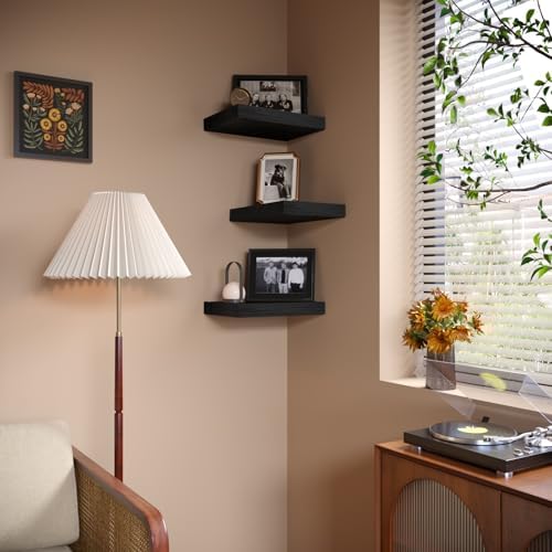 Set of 3 Floating Wall Shelves Black 12x9 Inch