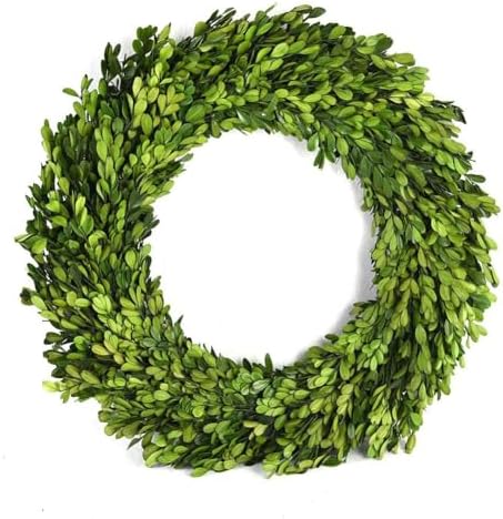 12 Inch Preserved Boxwood Wreath Home Decor