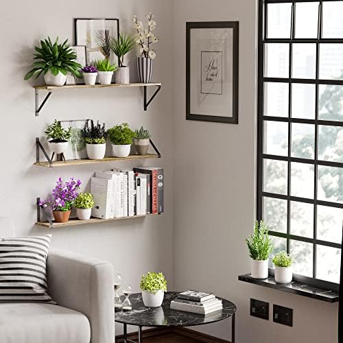 Wallniture Bora 36 Inch Floating Bookshelf Set of 3