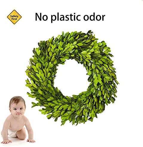 10 Inch Preserved Boxwood Wreath Home Decor