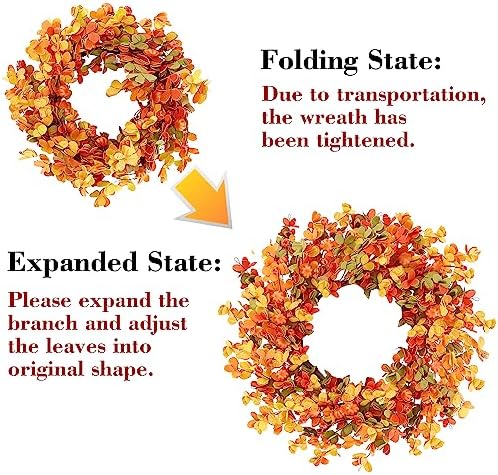 Sggvecsy 20 Inch Autumn Front Door Wreath