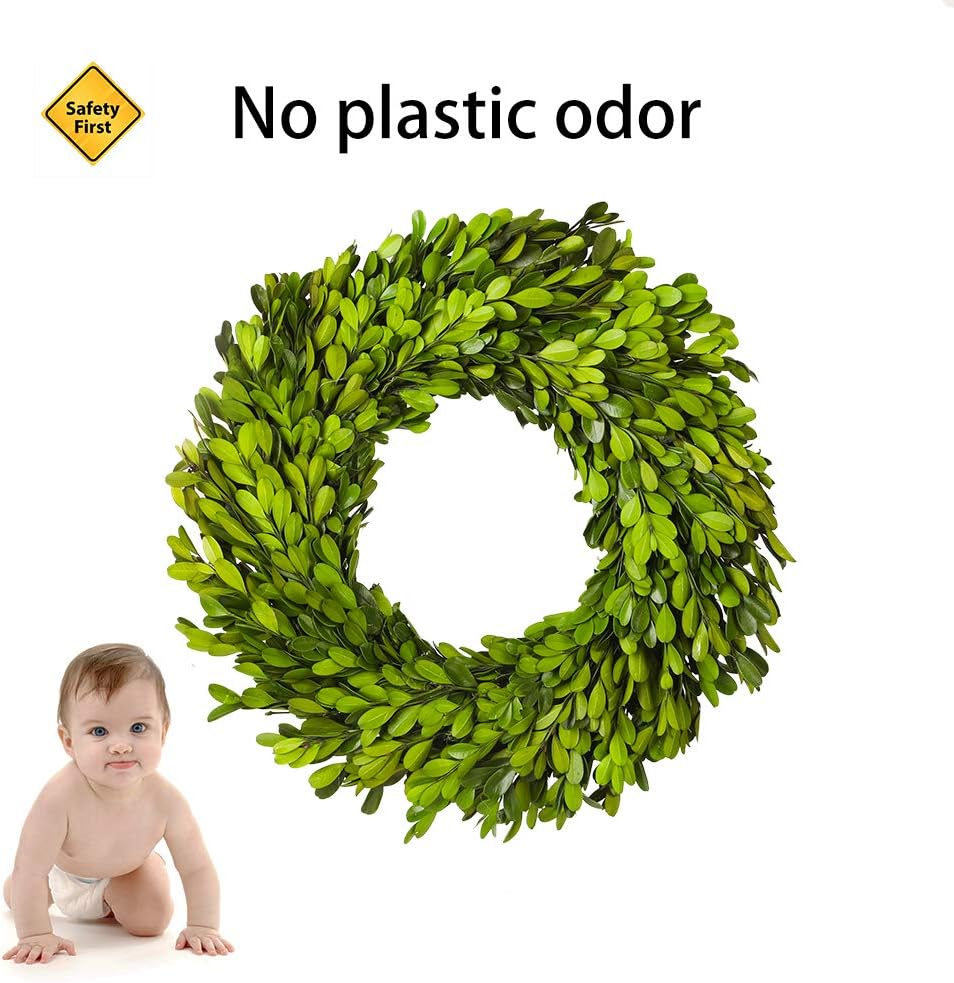 10 Inch Preserved Boxwood Wreath Home Decor