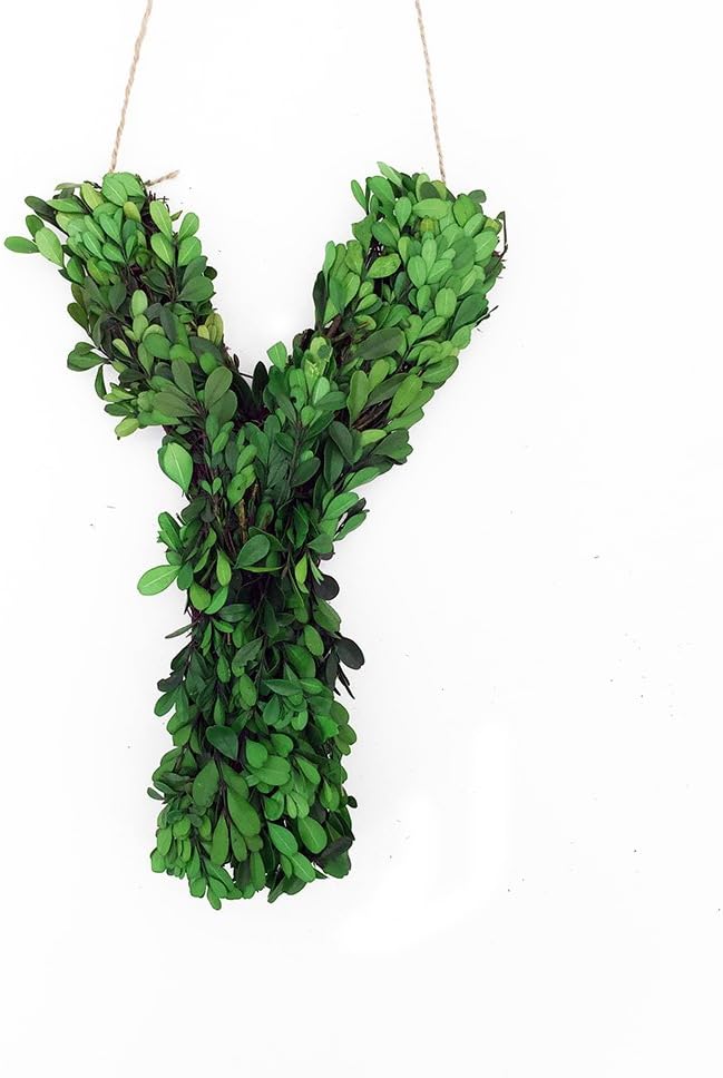 12 Inch Real Preserved Boxwood Monogram Wreath Letters