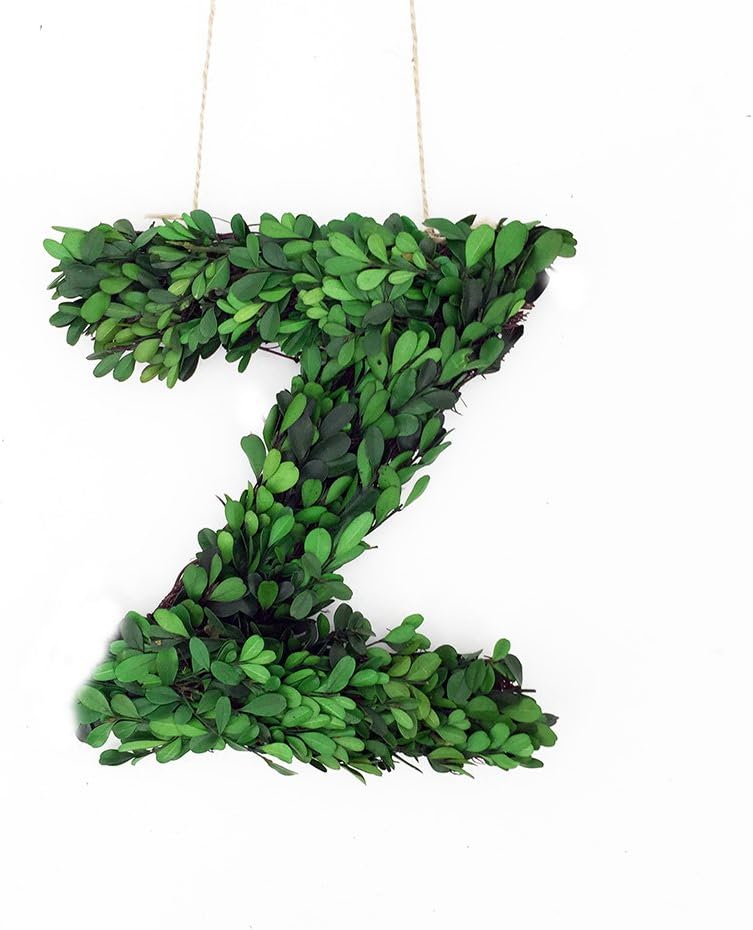 12 Inch Real Preserved Boxwood Monogram Wreath Letters Z