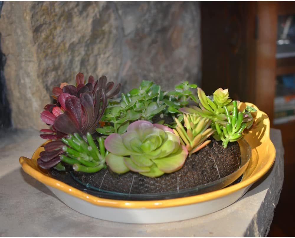 Mosser Lee KEW12B Sphagnum Moss Living Wreath