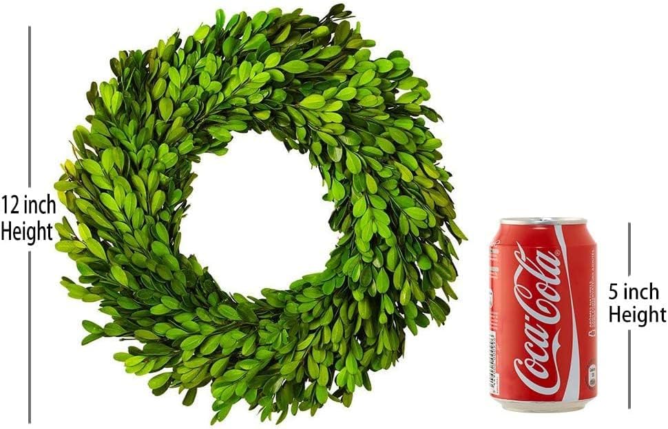 12 Inch Preserved Boxwood Wreath Home Decor