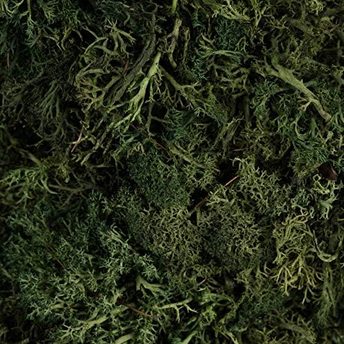 Vickerman 155 Inch Artificial Reindeer Moss Wreath