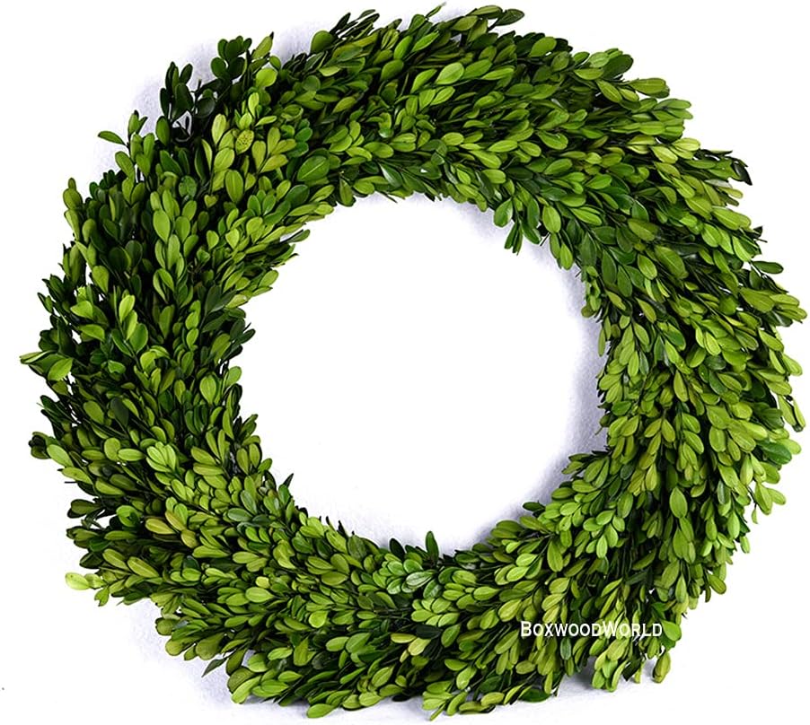 17 Inch Preserved Boxwood Wreath for Home Decor
