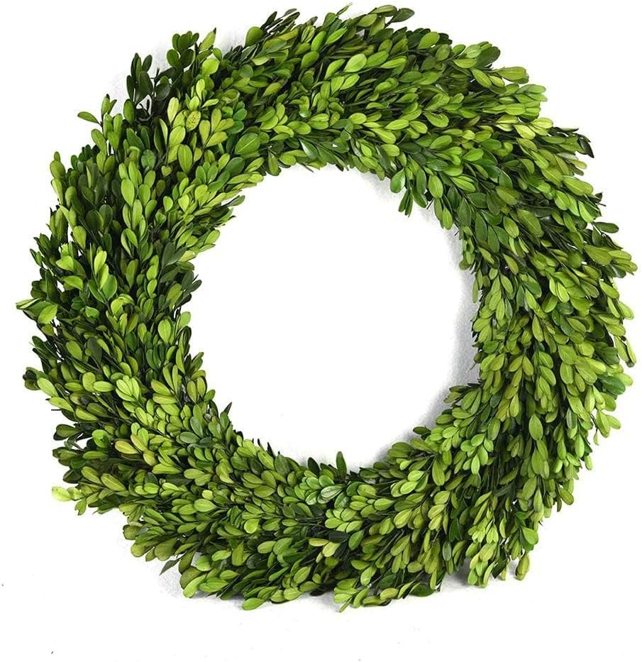 12 Inch Preserved Boxwood Wreath Home Decor