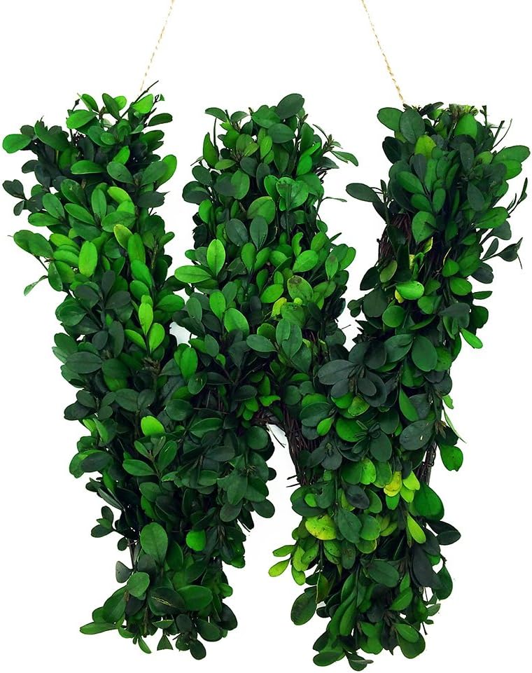 12 Inch Real Preserved Boxwood Monogram Wreath Letters