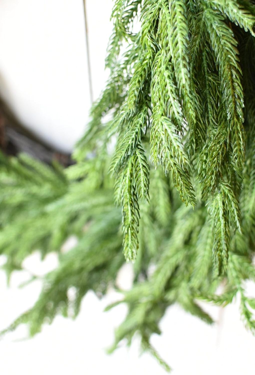 Afloral Real Touch Norfolk Pine Wreath 24 Inch