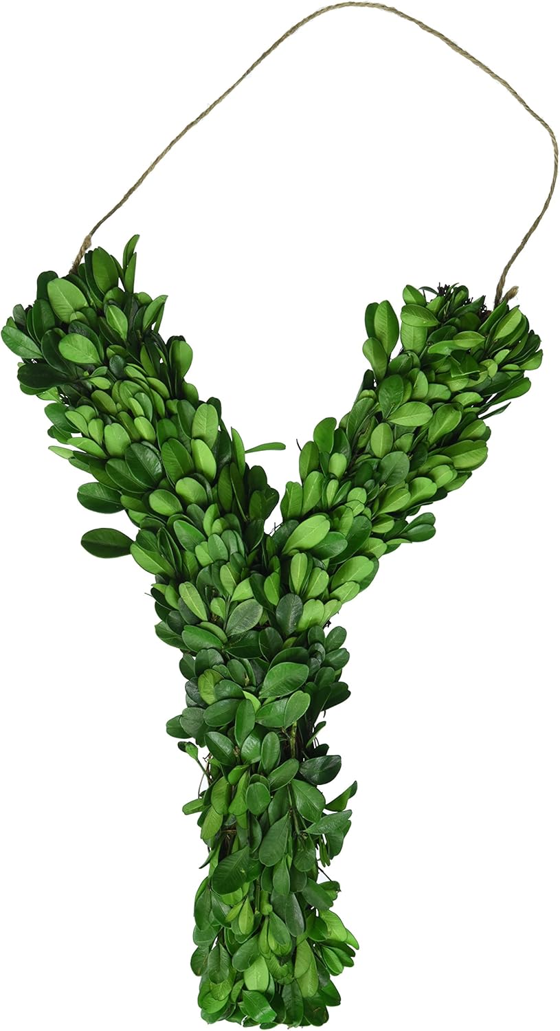 12 Inch Real Preserved Boxwood Monogram Wreath Letters