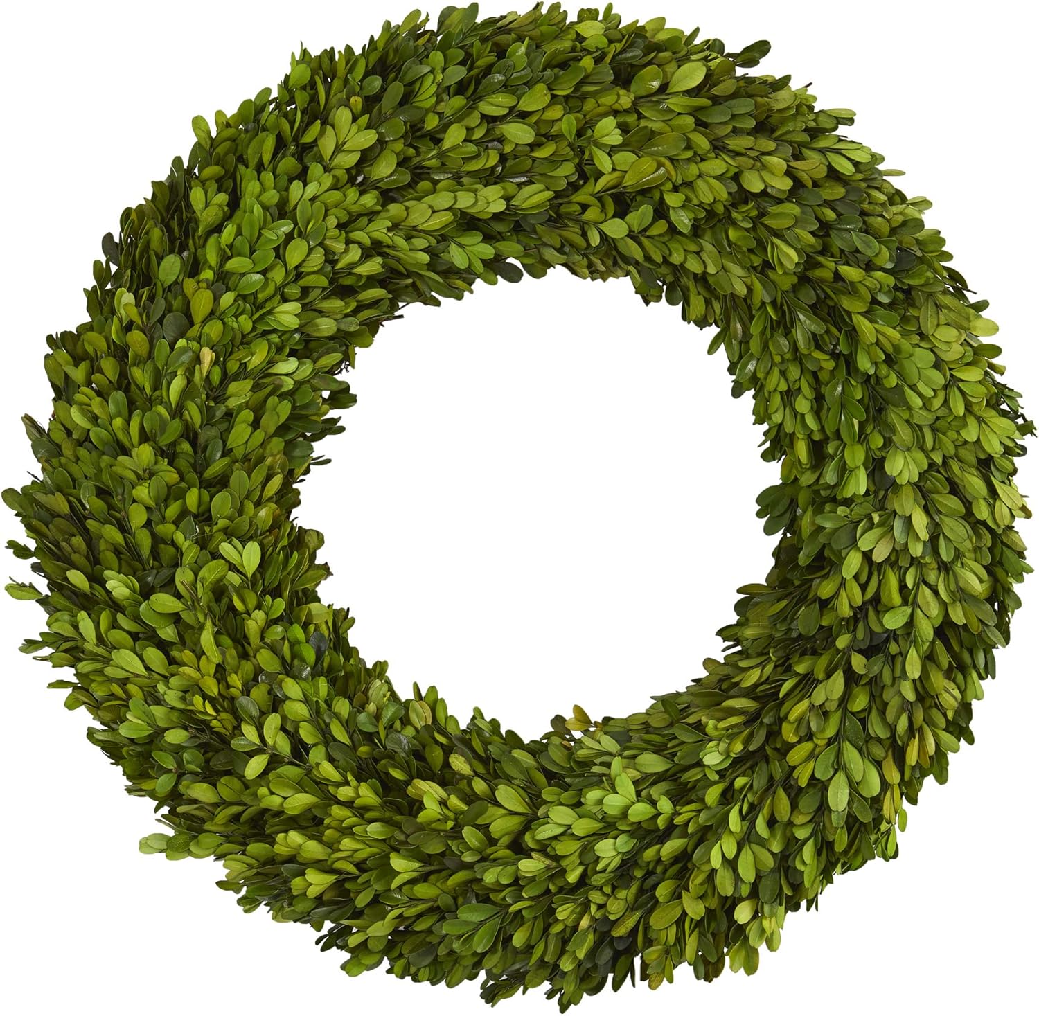 Nearly Natural 24in Preserved Boxwood Wreath