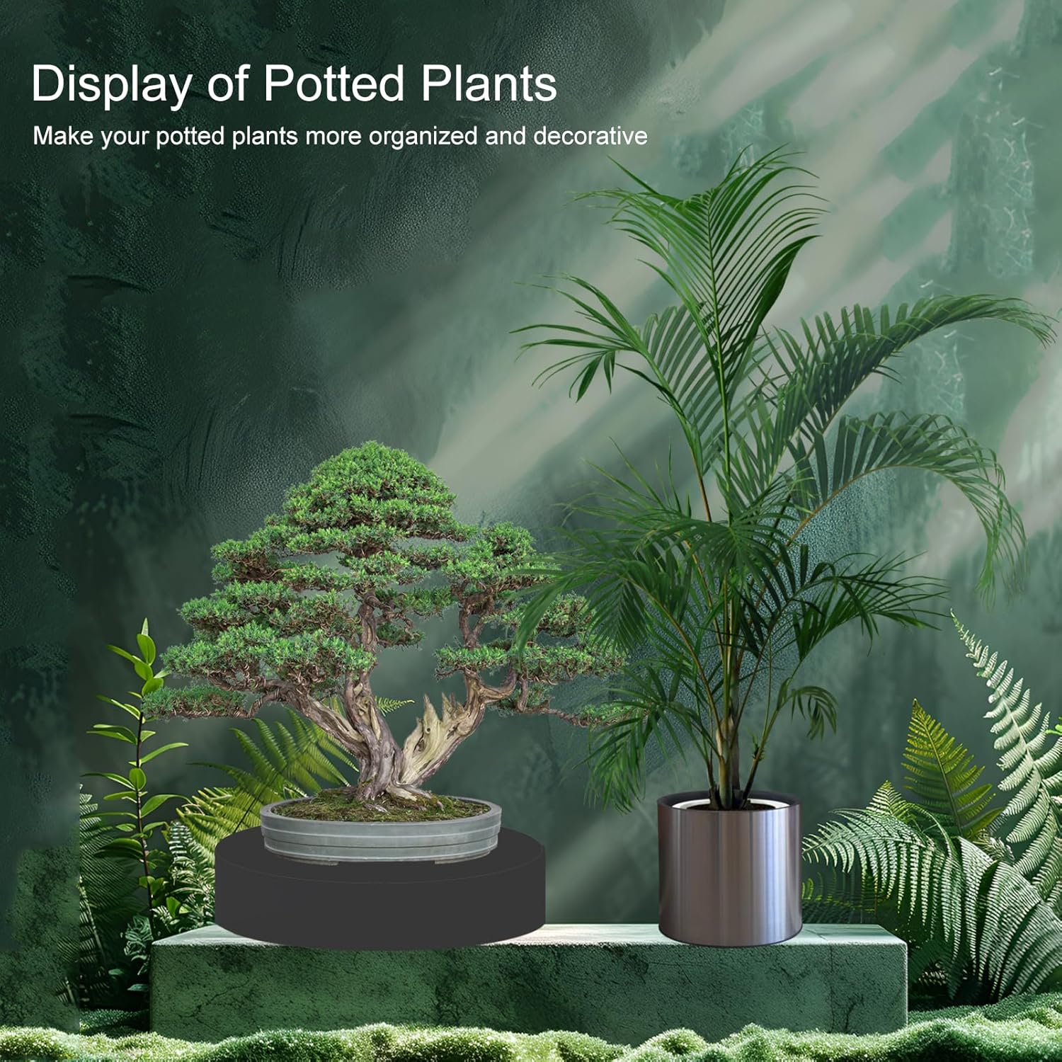 Jueraori Black Round Display Pedestal Stand