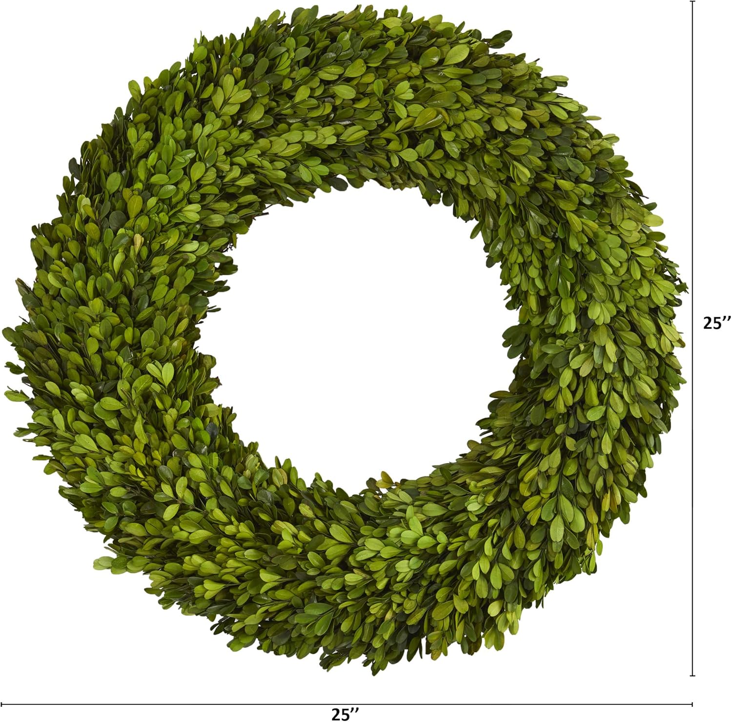 Nearly Natural 24in Preserved Boxwood Wreath