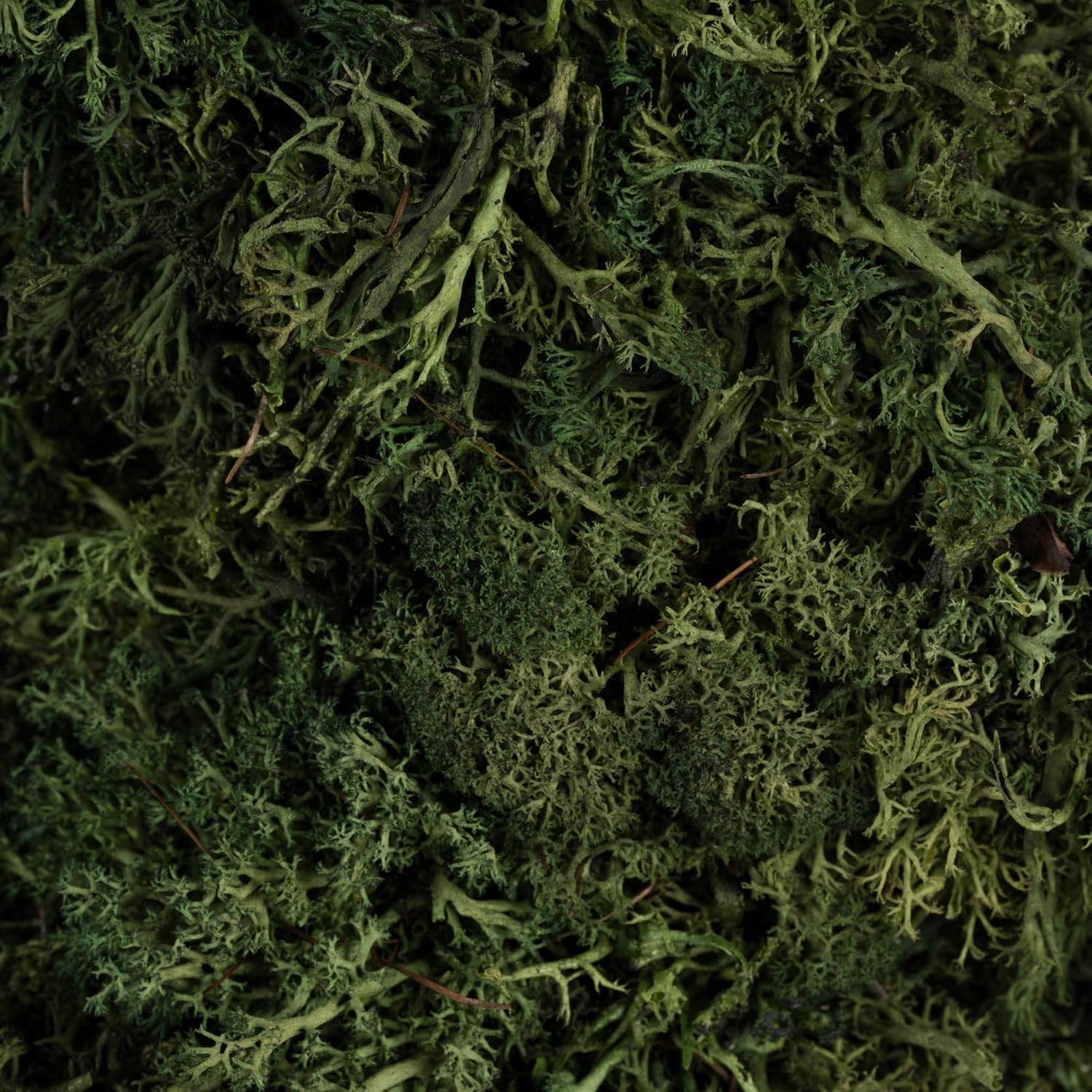 Vickerman 155 Inch Artificial Reindeer Moss Wreath