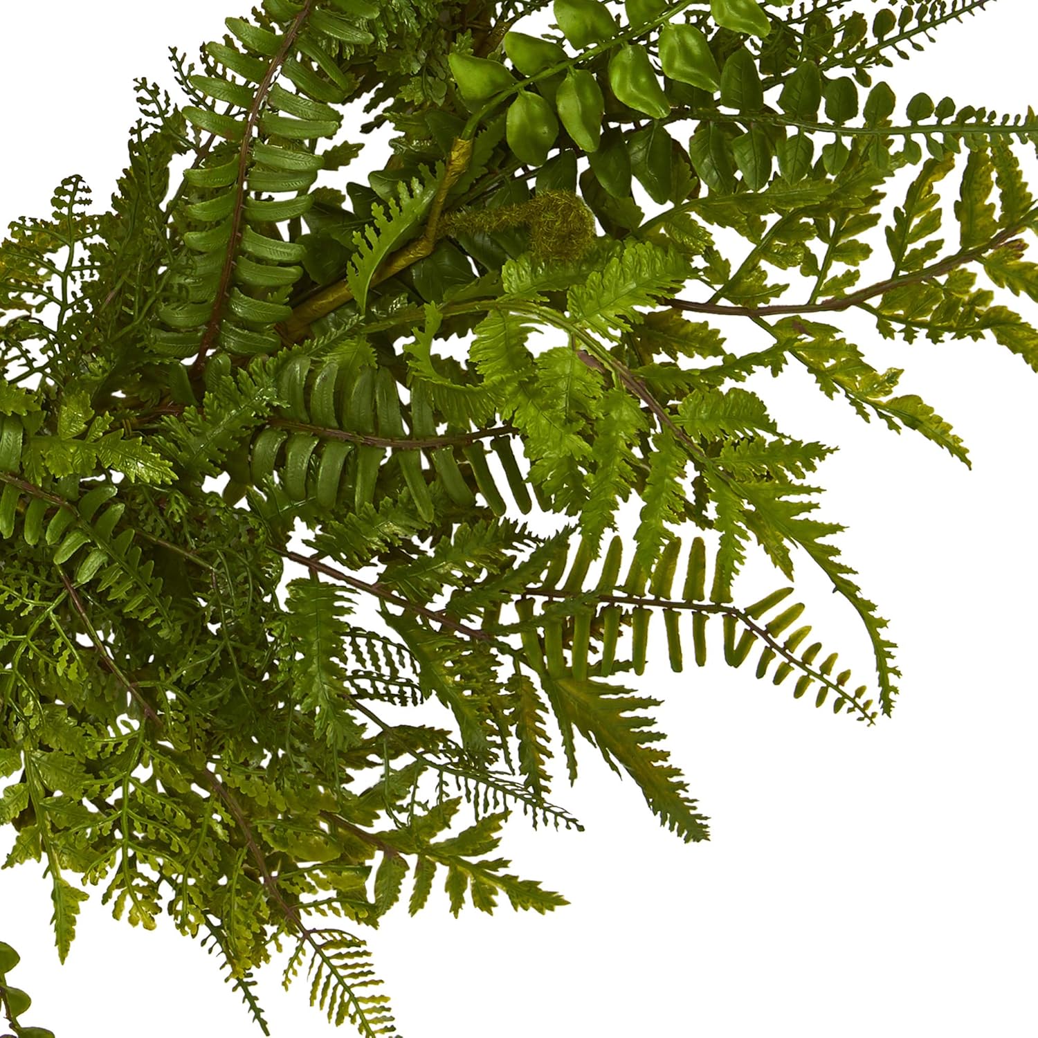 Nearly Natural 24-Inch Mixed Fern Artificial Wreath